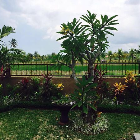 Villa Bali Green Ubud Zewnętrze zdjęcie